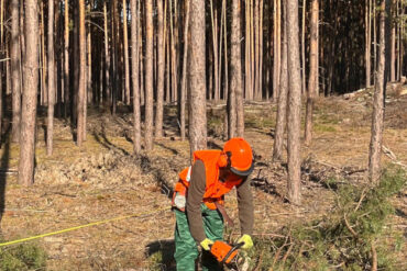 Wyróżnienia Burmistrza Zbąszynka z okazji Dnia Edukacji Narodowej